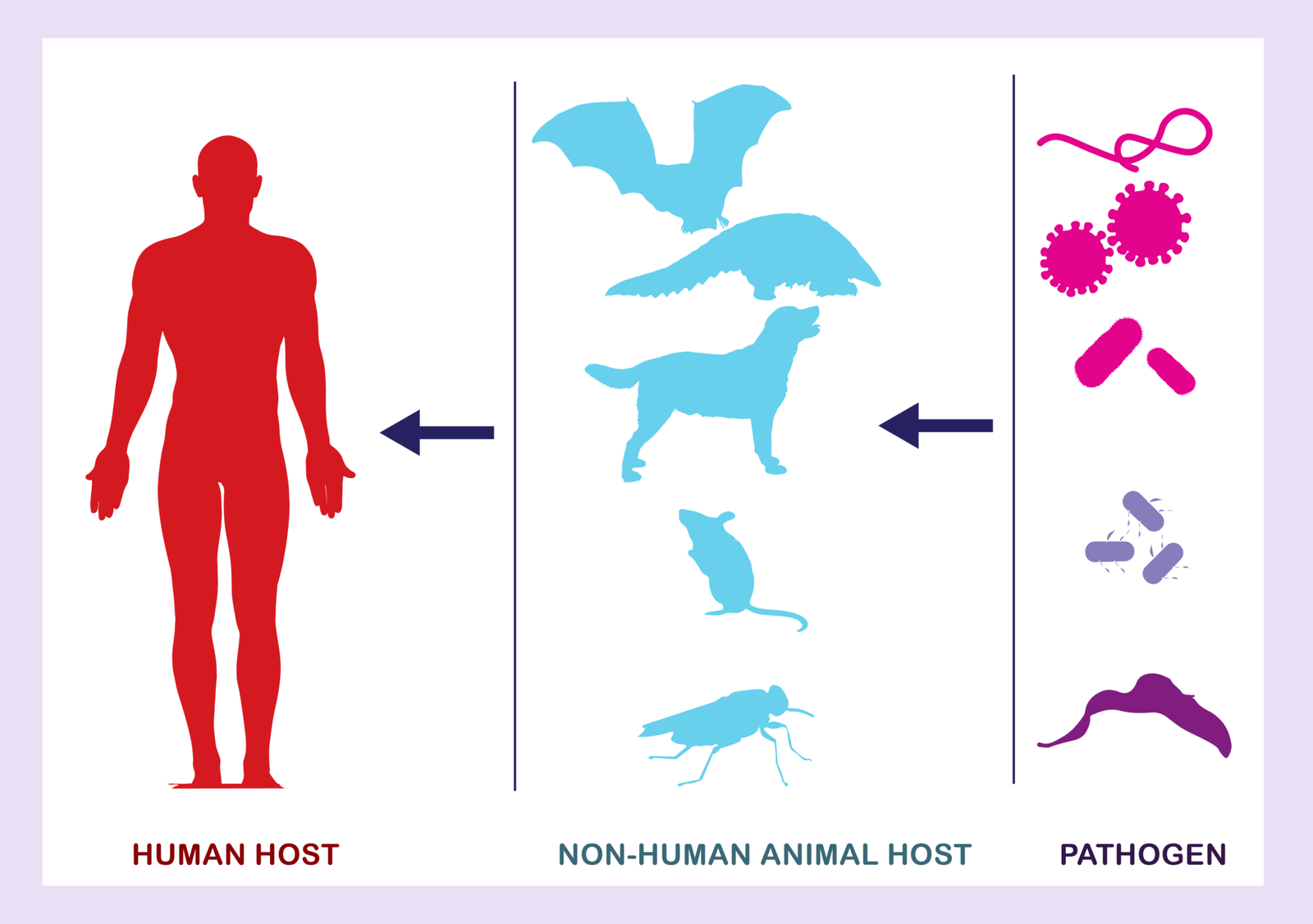 research topics on zoonosis